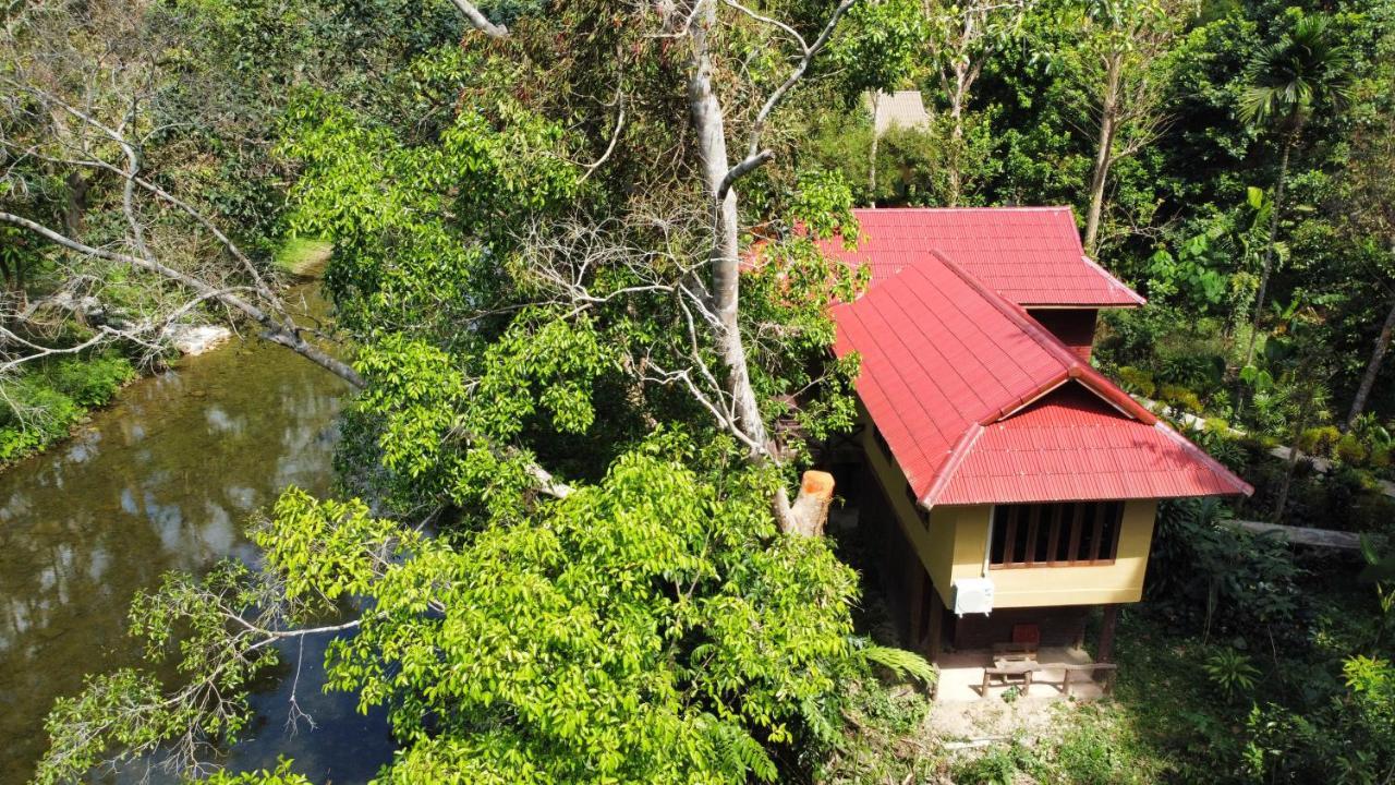 Art'S Riverview Lodge Khao Sok National Park Exterior photo